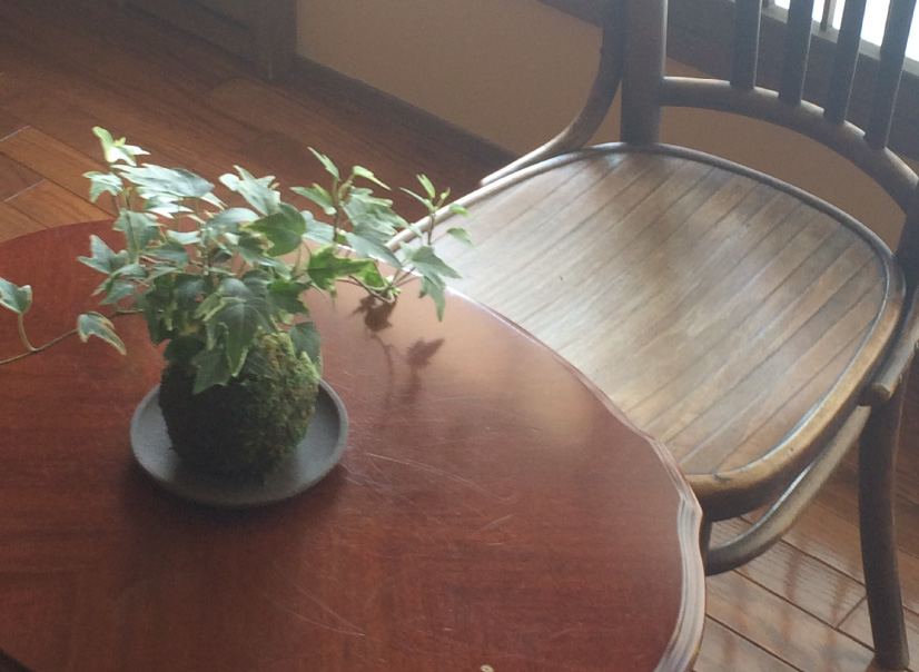 今の時代にはない雰囲気が魅力