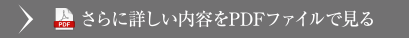 さらに詳しい内容をPDFファイルで見る