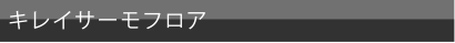 キレイサーモフロア